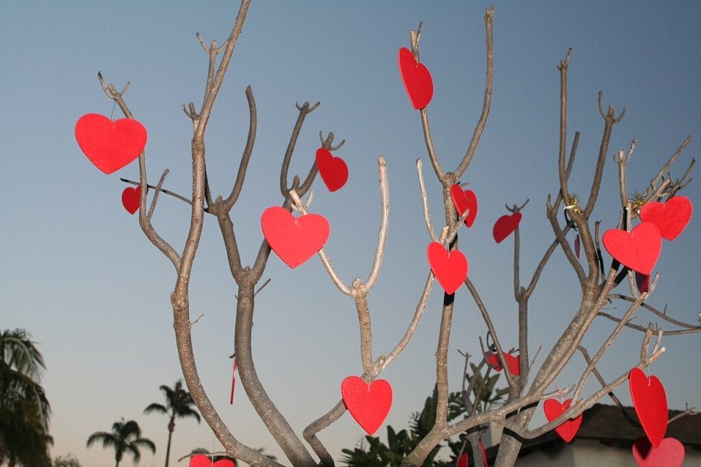 air 20240214 prangsvalentinecards1valentinesdaytree3