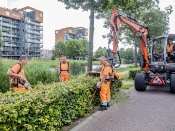 aire 20240521 heggen snoeien foto gemeente apeldoorn